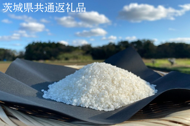 
【栽培期間農薬不使用】マキタ超こしひかり 白米10kg【茨城県共通返礼品・行方市産】【おいしい お米 マキタ 減農薬 安心 鹿嶋市】（KBE-54）
