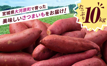 さつまいも 約10kg 紅はるか 加工用 サツマイモ