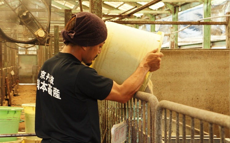 自社ブランド豚「京丹波ぽーく」モモ切り落とし 1.5kg ※北海道・沖縄は配送不可