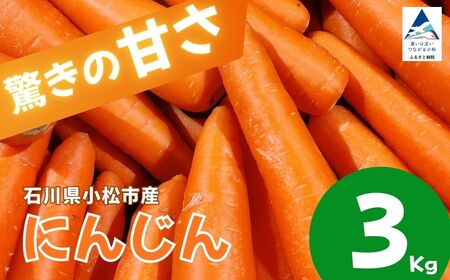 にんじん 3㎏ 人参 野菜 | 石川県 小松市 JAあぐり