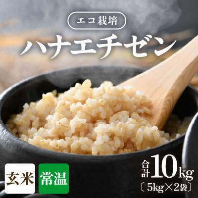 ふるさと納税 あわら市 【令和8年産】 【一等米】エコ栽培ハナエチゼン 玄米10kg (5kg×2袋)