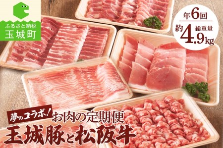 お肉の定期便 玉城豚と松阪肉の夢のコラボ！[定期便 6回 松阪牛 玉城豚 国産 すき焼き しゃぶしゃぶ ステーキ 奇数月 ふるさと味工房アグリ 朝日屋]