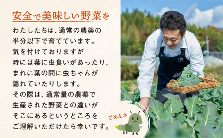 【定期便6ヶ月】訳あり野菜セット 約3～4種類 農家のおすそわけ 旬 野菜セット