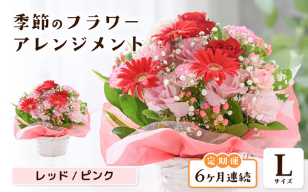 定期便 ≪6ヶ月連続お届け≫ 選べるカラー 季節のフラワーアレンジメント L (レッド・ピンク) 【お花 フラワー アレジメント 花束 ギフト 生花 プレゼント 花束 花 記念日 敬老の日 お祝い】 [J-20701_01]