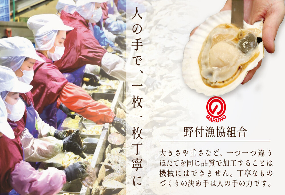 【 毎月4か月定期便 】北海道 野付産  冷凍ホタテ 料理に使いやすい 旨粒 ホタテ 500g 全 4回 水産事業者支援
