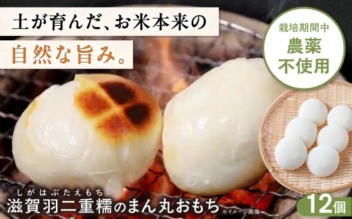 滋賀羽二重糯のまん丸おもち 12個[AQEC001]もち