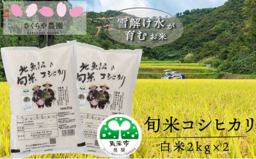 
                  令和8年産 魚沼の旬米 コシヒカリ 【精米】２kg×2 お米
                