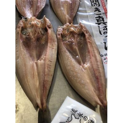 ふるさと納税 佐呂間町 開き真ほっけ 大10枚 |  | 02