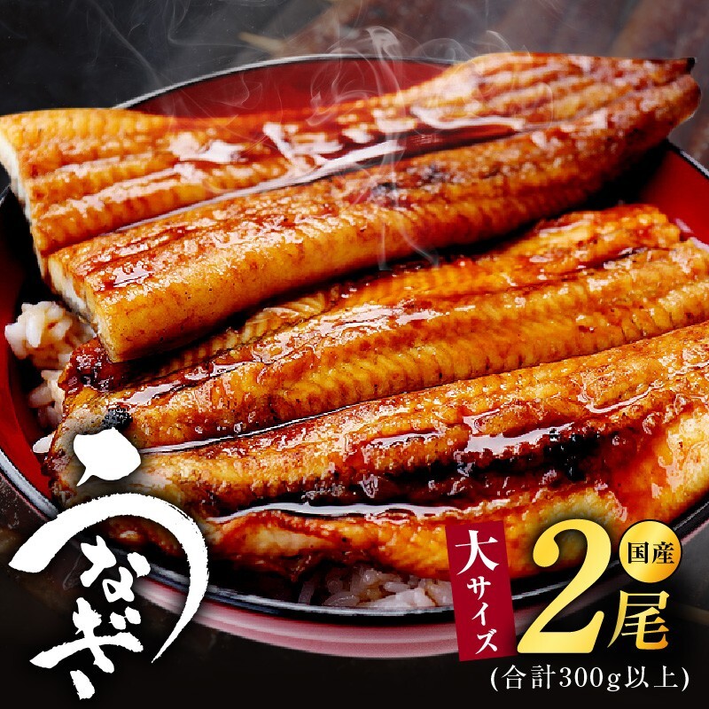【特別規格】国産うなぎ蒲焼 320g以上（大サイズ2尾）【レンチン 湯煎対応 簡単調理 鰻 ウナギ 人気総菜 日本産 土用の丑の日にも】 kgp0129