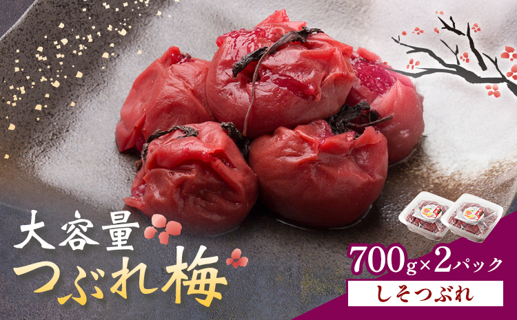 梅干し 紀州南高梅 つぶれ梅 大容量 しそ 1.4kg 700g ×2パック 《60日以内に出荷予定(土日祝除く)》 株式会社やまだ 和歌山県 日高町 梅 梅干 うめぼし 米 おかず しそ漬 国産 送料無料---wsh_ymd19_60d_25_13000_1p---