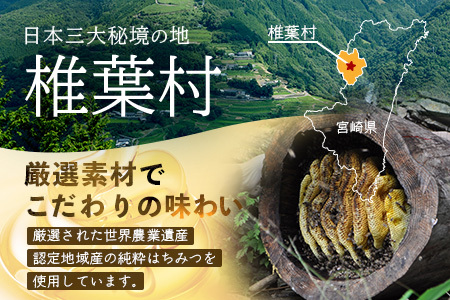 【５営業日以内に発送】【椎葉村産のはちみつ】を使用したハニーマスタード！ゴッドマイト 90g × 3個 計 270g | ハニーマスタード マスタード 90g 270g 3個 はちみつ 蜂蜜 粒マスタ