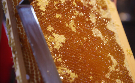 長野原町産 生はちみつ 大容量600gパウチ ＋ 300gボトル 詰め替えセット【蜂蜜 ハチミツ ギフト 詰合せ 群馬県 長野原町 北軽井沢】