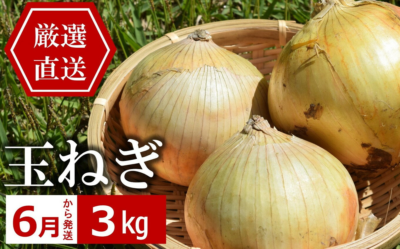 【ふるさと納税】【先行予約・6月中旬～発送】産地直送 やたらうんめぇ 玉ねぎ 3kg 水田環境鑑定士在籍【 野菜 新潟県 柏崎市 】