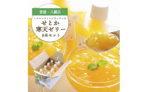 高級柑橘せとか寒天ゼリーセット8本 ミヤモトオレンジガーデン＜C25-27＞【1502269】 YWTAP020