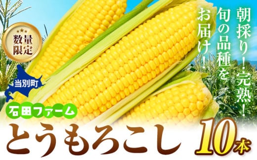 [1.6-319] 【数量限定】【訳あり】【2026年出荷】石田ファーム とうもろこし詰め合わせ10本セット 朝採り 野菜 新鮮 夢のコーン 甘獲娘 スターダスト 恵味ゴールド 恵味スター ほしつぶコーン わくわくコーン ロイシーコーン 旬の品種 10本 トウモロコシ キャンプ BBQ SDGs 詰合せ st-p