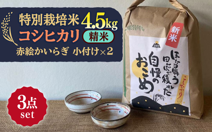 
             【令和6年産新米】 精米 コシヒカリ 特別栽培米 （4.5kg） + 【美濃焼】 赤絵かいらぎ 小付け （2個） 【山松加藤松治郎商店】 [TEU069]
          