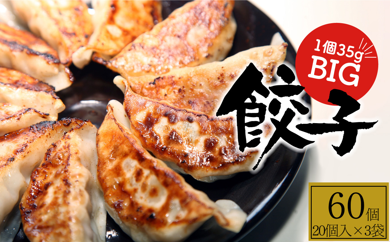 餃子 たじまやオリジナルビッグ 餃子 60個  真岡市 栃木県 栃木県 送料無料