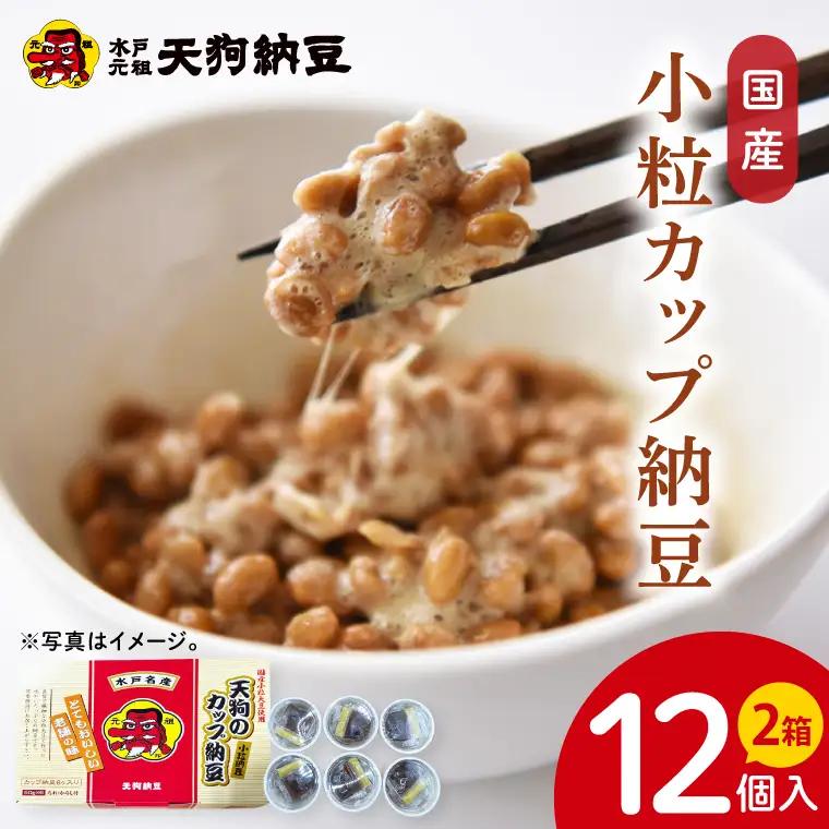 【天狗納豆】国産小粒カップ納豆（50ｇ×6個）×2箱（DQ-16）