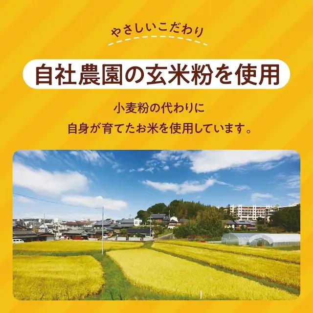 グルテンフリー バターチキンカレー レトルト カレー 180g×25袋 T-58