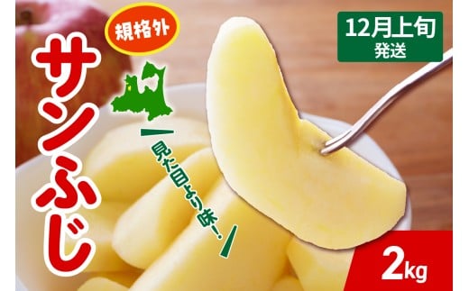 【2025年12月上旬発送】 りんご サンふじ 約 2kg 規格外 程度 青森 五所川原 不揃い サン ふじ りんご規格外