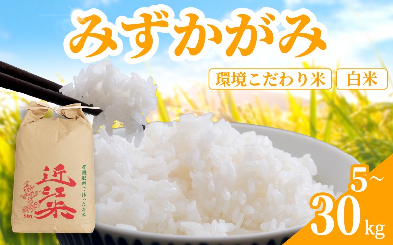 
                  【令和8年産 】 新米 みずかがみ 30kg ～ 5kg 白米 環境こだわり 育農舎 [IN060_R8_OYA]
                
