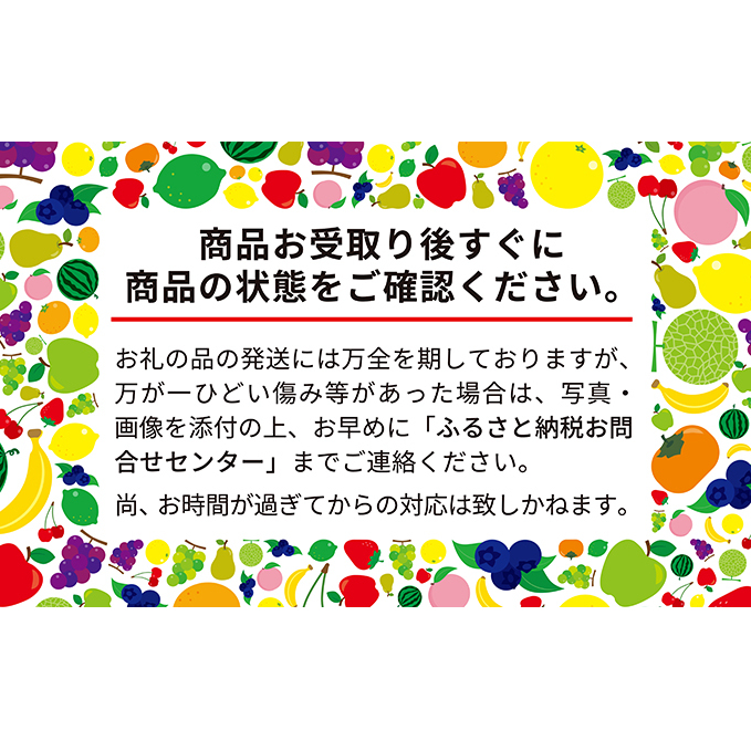 北海道 仁木町産 シャインマスカット厳選品 500g以上  松山商店_イメージ3