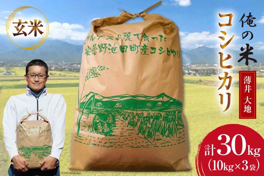 
            【俺の米】米 令和7年 定期便 コシヒカリ 玄米 10kg ×3袋 計 30kg [薄井 大地 長野県 池田町 48110785] お米 ごはん こしひかり 美味しい 農家 直送
          