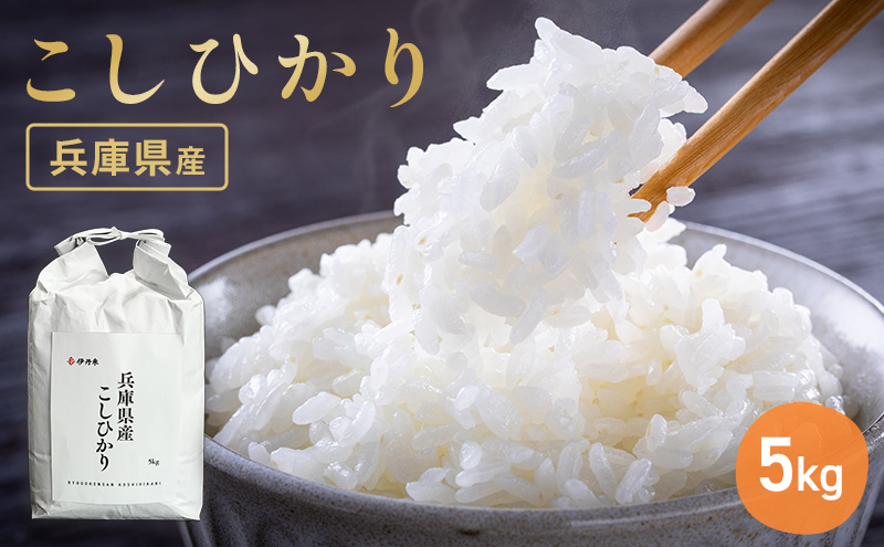 お米 令和7年産 兵庫県産コシヒカリ5kg 米 お米 こめ コメ 白米 兵庫県 伊丹市