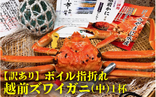 【先行予約】名人が茹でる とれたて指折れ訳あり越前がに(中) 1杯 やまに仕込み【11月発送分】[E-4353_11]