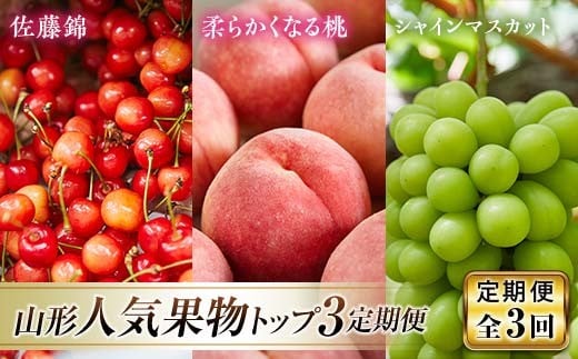 《先行予約 2026年発送》山形県人気くだものトップ3！定期便【全3回】 FSY-2328