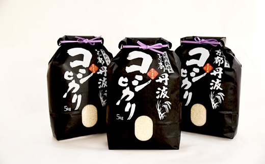 《新米先行予約》 京丹波こしひかり 15kg 令和6年産 京都 米 精米 コシヒカリ ※北海道・沖縄・その他離島は配送不可 [026MB001]