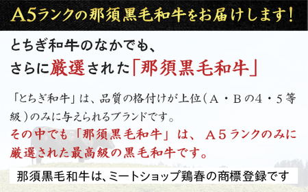 【冷蔵】那須黒毛和牛 A5等級 特選サーロインステーキ 400g 和牛 グルメ ジューシー 食品 焼肉 国産 高級 冷凍 冷蔵 栃木県 那須町〔P-161〕 ※着日指定不可