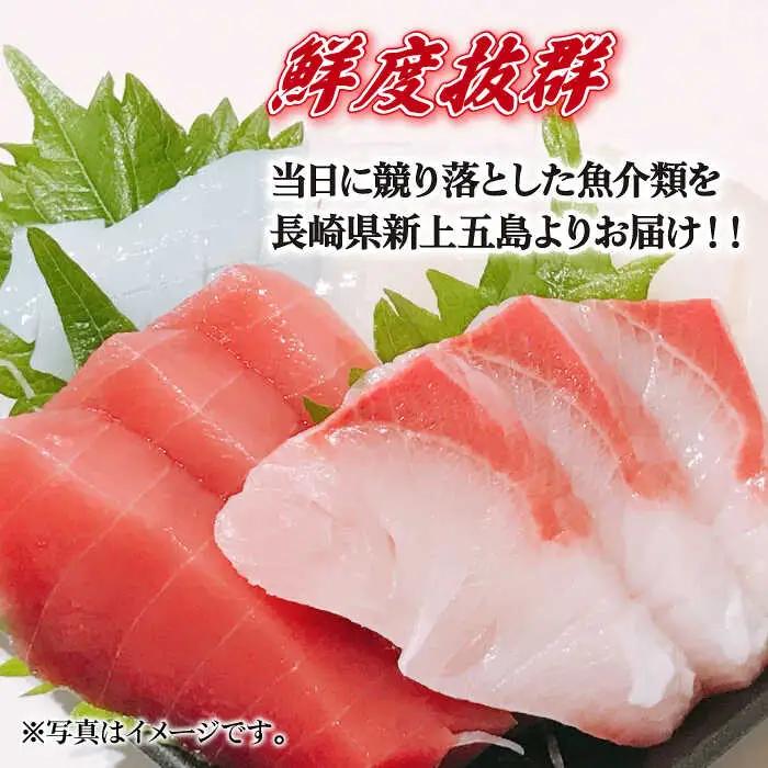 五島列島お刺身地魚柵セット 4?5人前[RBP059] 刺身 鮮魚 刺身 鮮魚 刺身 鮮魚 刺身 鮮魚 刺身 鮮魚 刺身 鮮魚 刺身 鮮魚九州 長崎