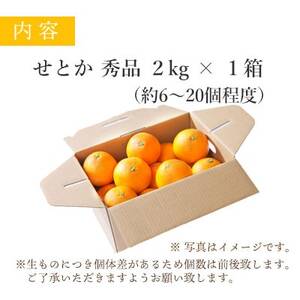 【2025年2月以降発送】とろける濃厚果肉 せとか2kg 愛媛県八幡浜産【C25-37】【1044414】