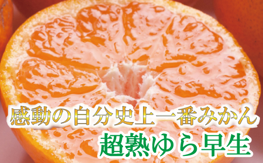 
＜11月より発送＞厳選　超熟有田みかん7.5kg+225g（傷み補償分）【自分史上一番みかん】【光センサー選別】【ikd171】
