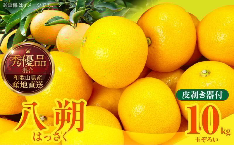 
                  MK1021_八朔 (はっさく) 箱込 10kg (内容量約 9.2kg) 2L L Mサイズのいずれか 秀品 優品 混合 皮剥き器付 和歌山県産  産地直送
                