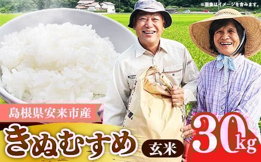 【先行受付】島根県安来市産 きぬむすめ 玄米 30kg 【令和7年産 新米 先行 予約 お米 こめ コメ 米 ごはん ご飯 国産 お弁当 美味しい 人気 おすすめ 島根県 安来市】