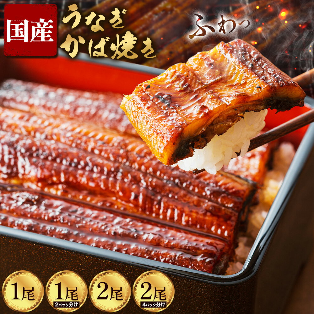 【ふるさと納税】炭火焼 国産 うなぎ かば焼き 選べる 1尾 2尾 160g うな藤《30日以内に出荷予定(土日祝除く)》 丑の日 炭火 鰻 ウナギ ギフト 真空パック タレ 山椒 冷凍 贈り物 プレゼント お祝い お取り寄せ ギフト 送料無料 我孫子市 千葉県
