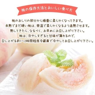 フルーツ王国 和歌山 の 桃 約2kg（fr-06）_ 先行予約 2025年6月中旬から7月下旬発送【MS107】