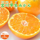 【ふるさと納税】【先行予約】 早生 （宮川早生） みかん Mサイズ 約5kg ー2024年11月より発送ー 長与町/山口農園 [EBI010] 宮川 早生 みかん 温州みかん 柑橘 フルーツ 果物 季節限定 長崎県産 長与町 産地直送 先行予約