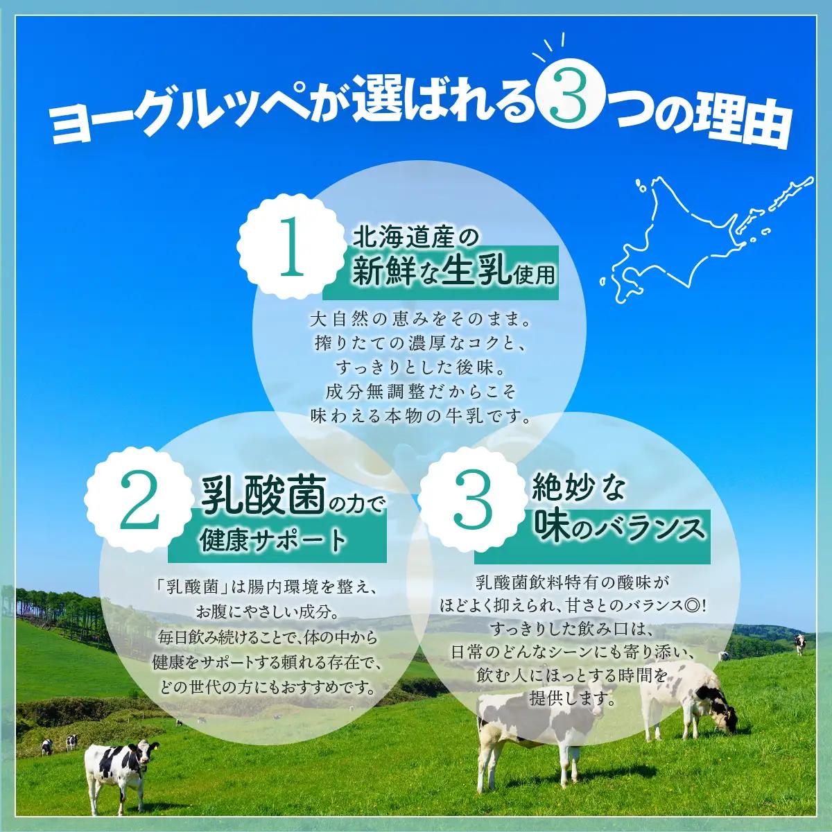 【ジャパン・フード・セレクショングランプリ受賞】北海道日高乳業 ヨーグルッペ200ml×24本 | BRTR002
