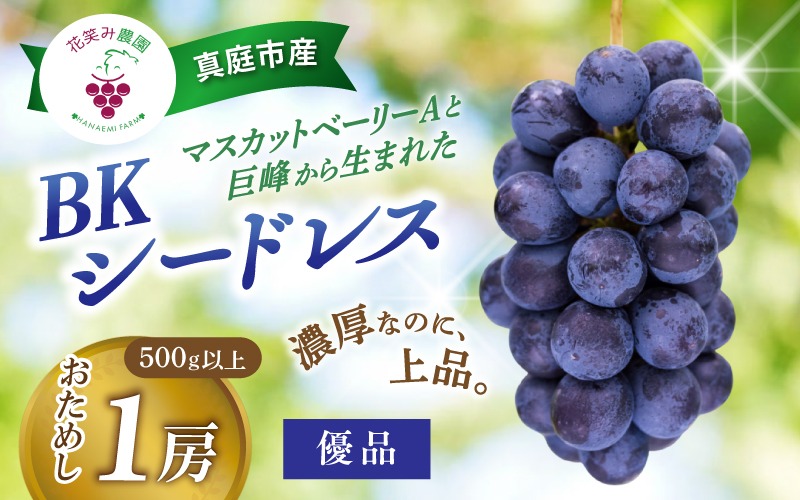 【2027年先行予約】岡山 花笑み農園の『BKシードレス』500g以上（中１房） B-中1 贈答用 濃厚 ぶどう 2027年9月中旬～ 受付順に発送予定 【hana083-02】