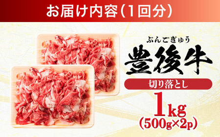 【全6回定期便】【期間限定】 小分けで便利！おおいた豊後牛 牛肉 切り落とし 1kg (500g×2)  日田市 / 株式会社MEAT PLUS　肉 牛肉 和牛[AREI045]