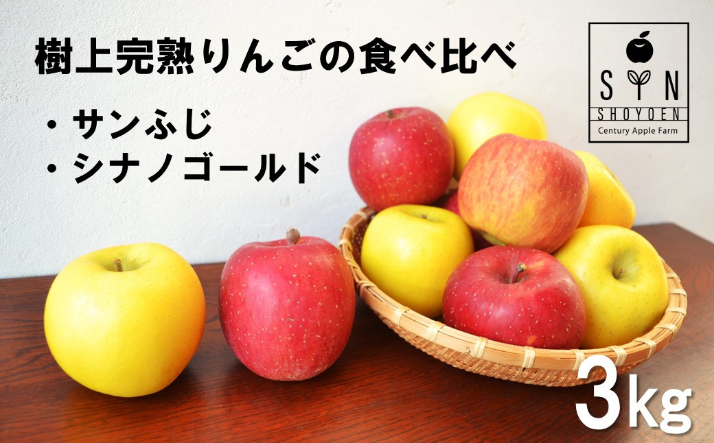 
松陽園 樹上 完熟 りんご 食べ比べ セット サンふじ シナノゴールド 3kg　岩手県 遠野市 農家直送【2024年11月下旬ごろから発送予定】
