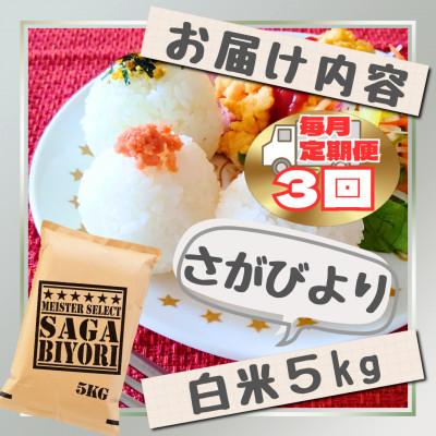ふるさと納税 江北町 【毎月定期便】さがびより白米5kg(江北町)全3回 |  | 02
