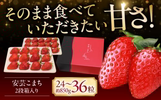 【先行予約】【12月下旬から順次発送】いちご「安芸こまち」2段箱入り（約850g）（24粒〜36粒入） 低農薬 苺 イチゴ 高級 フルーツ 果物 ベリー ギフト 贈答 三次市/田中電機工業 [APBI003]