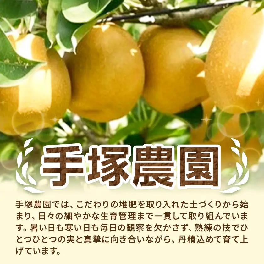 芳賀町産 梨 王秋 約5kg 6～9玉 手塚農園