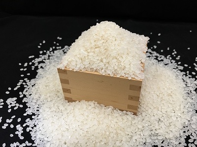 丸山千枚田を守る会会員権（令和８年度）【snmr0004】