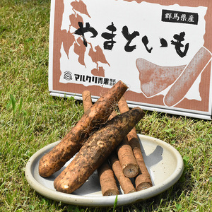 伊勢崎市産泥付きやまといも・ごぼう詰め合わせセット ※北海道・沖縄・離島への配送不可