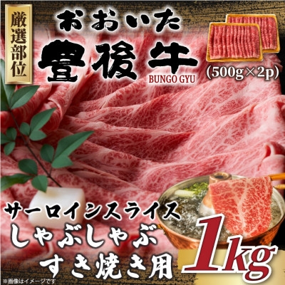 
                  ＜毎月定期便＞厳選部位 おおいた豊後牛サーロインしゃぶすき焼き用1kg 500g×2(日出町)全3回【4074265】
                